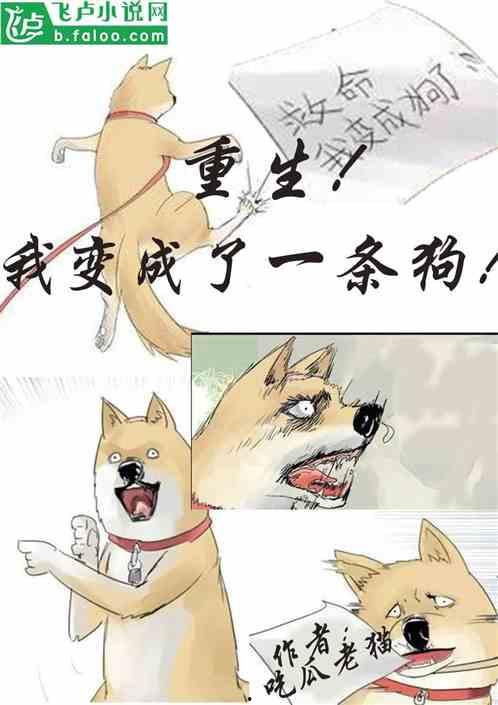 吃瓜遭殃了小说免费阅读,一场意外引发的惊心动魄冒险